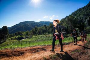 BIB: 
                            <button type="button" onclick="openModal(19186225)" class="btn btn-primary btn-sm float-right btn-popup" data-toggle="modal" data-target=".modal-high-quality">
                        <i class="fas fa-shopping-cart"></i> Add to Cart
                    </button>
                                            <button type="button" onclick="isThisMe(19186225, true)" class="btn btn-success btn-sm float-right btn-popup btn-isme hidden" data-toggle="tooltip" data-placement="bottom" title="นี่คือรูปของคุณใช่ไหม คลิกที่นี่เพื่อเอาเข้าอัลบั้ม">
                        <i class="fas fa-plus"></i> Add to album
                    </button>
                    <button type="button" onclick="isThisMe(19186225, false)" class="btn btn-warning btn-sm float-right btn-popup btn-isnotme hidden">
                        <i class="fas fa-ban"></i> Remove from album
                    </button>